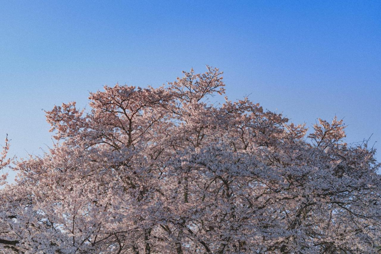 Kominkayado Loof Sakanoie Fuefuki المظهر الخارجي الصورة
