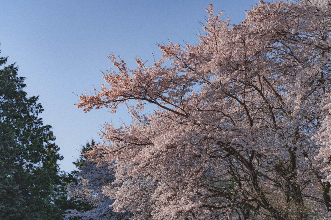 Kominkayado Loof Sakanoie Fuefuki المظهر الخارجي الصورة